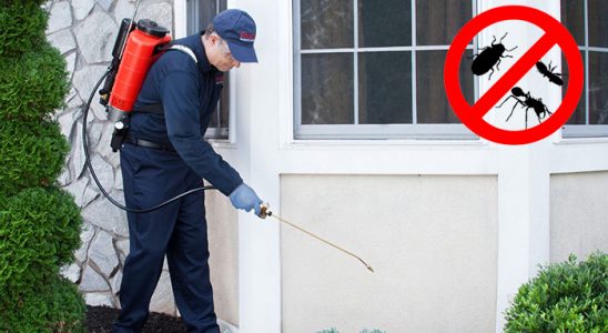 Dulkadiroğlu Böcek ve Haşere İlaçlama böcek ilaçlama ve haşere kontrolü — ilaclama-tr.com